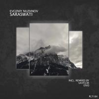 Artwork for Saraswati by Evgeniy Nuzhnov