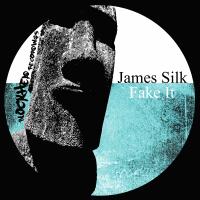 Artwork for Fake It by James Silk