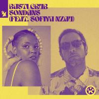 Artwork for Sondans by Basti Grub