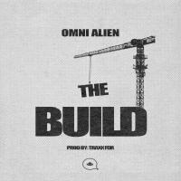 Artwork for The Build by Omni Alien