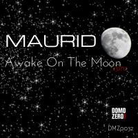 Artwork for Awake On The Moon by Maurid