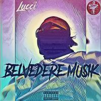 Artwork for Belvedere Musik by Lucci