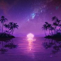 Artwork for Club Paradise by Purple Disco Machine