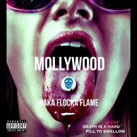 Artwork for Mollywood by Waka Flocka Flame