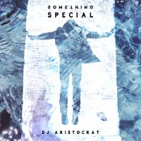 Artwork for Something Special by DJ Aristocrat