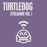 Artwork for TurtleDog Streaming, Vol. 1 by Various Artists