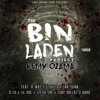 Artwork for The Bin Laden Project by Remy Ozama