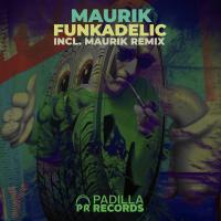 Artwork for Funkadelic by Maurik