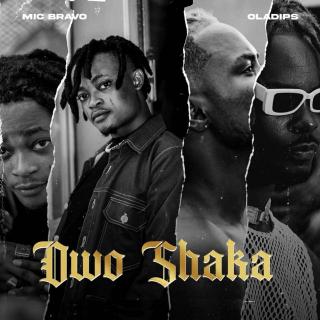 Artwork for Owo Shaka 