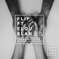 Artwork for Possibilities (Remixes, Pt. 2) by Flip