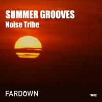 Artwork for Summer Grooves by Noise Tribe