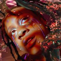 Artwork for A Love Letter To You 4 by Trippie Redd