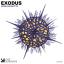 Artwork for Exodus