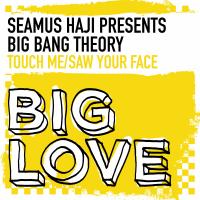 Artwork for Touch Me / Saw Your Face by Seamus Haji