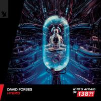 Artwork for Hybrid by David Forbes