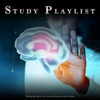 Artwork for Study Playlist: Studying Music for Concentration and Focus by Study Music For Concentration