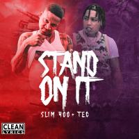 Artwork for Stand On It by Slim 400