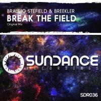 Artwork for Break The Field by Braulio Stefield