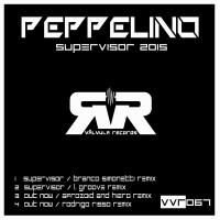 Artwork for Supervisor 2015 by Peppelino