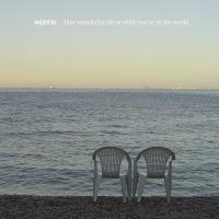 Artwork for How Wonderful Life Is While You're In The World by Nezvil