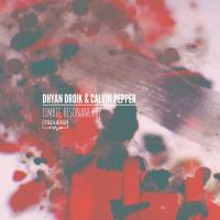 Artwork for Limbic Resonance - EP by Dhyan Droik