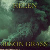 Artwork for Bison Grass by Helen