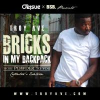 Artwork for Bricks In My Backpack (More Powder To You, Collector's Edition) by Troy Ave