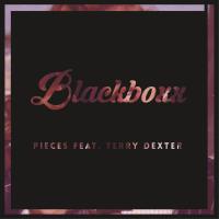 Artwork for Pieces by Blackboxx