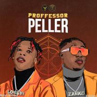 Artwork for Professor  Peller by Seyi Vibez