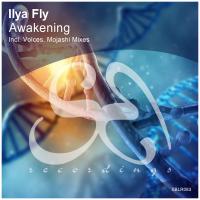 Artwork for Awakening by Ilya Fly