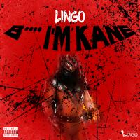 Artwork for Bitch I'm Kane by Lingo