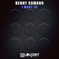 Artwork for I Want To by Benny Camaro