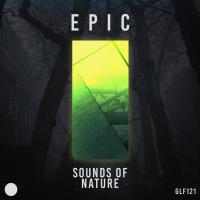 Artwork for Epic by Sounds Of Nature