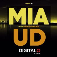 Artwork for Miami Underground Series:01 by Various Artists