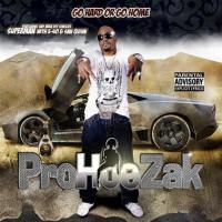 Artwork for Go Hard Or Go Home by ProHoeZak