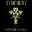 Artwork for Symphony