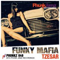 Artwork for Funky Mafia by Tzesar