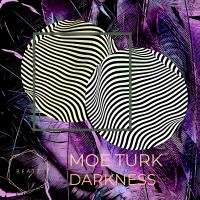 Artwork for Darkness by Moe Turk