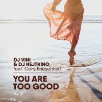 Artwork for You Are Too Good by DJ Vini