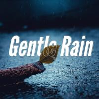 Artwork for Gentle Rain by Rain Sounds Sleep