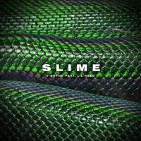 Artwork for Slime by T-Shyne