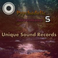 Artwork for Psychedelic Adventure 5 by Various Artists