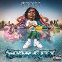 Artwork for soak city (do it)