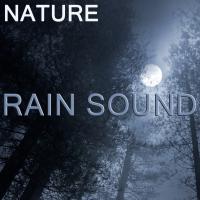 Artwork for Nature Rain Sound by Rain Sounds