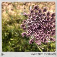 Artwork for Summer Dress (The Remixes) by R Plus