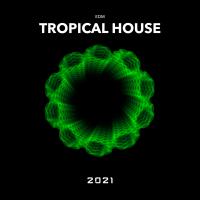 Artwork for Tropical House by EDM