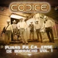 Artwork for Puras Pa´ Ca...Erse De Borracho, Vol. 1 by Códice