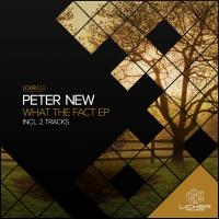 Artwork for What The Fact EP by Peter New