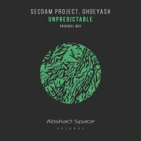 Artwork for Unpredictable by Secdam Project