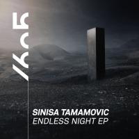 Artwork for Endless Night by Sinisa Tamamovic